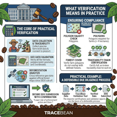 What verification means in practice