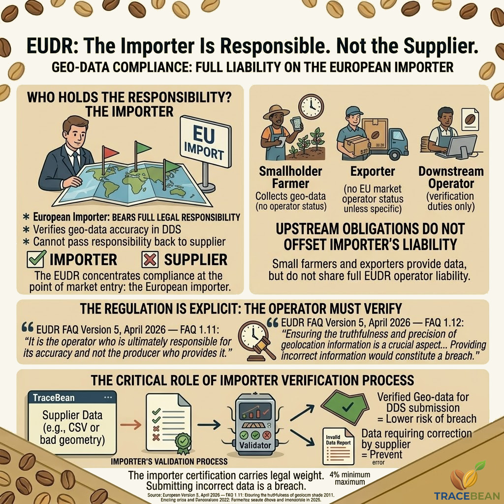 EUDR operator responsibility — the importer bears full compliance responsibility