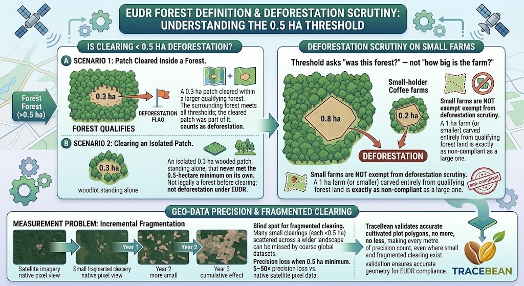 EUDR 0.5 hectare forest definition threshold and smallholder farms
