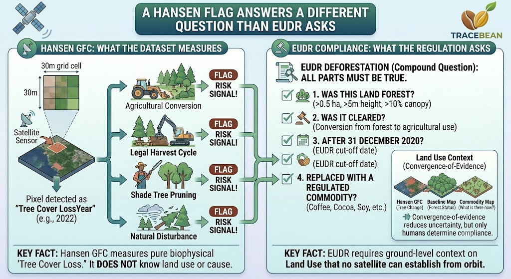 Hansen tree cover loss signal versus EUDR deforestation definition