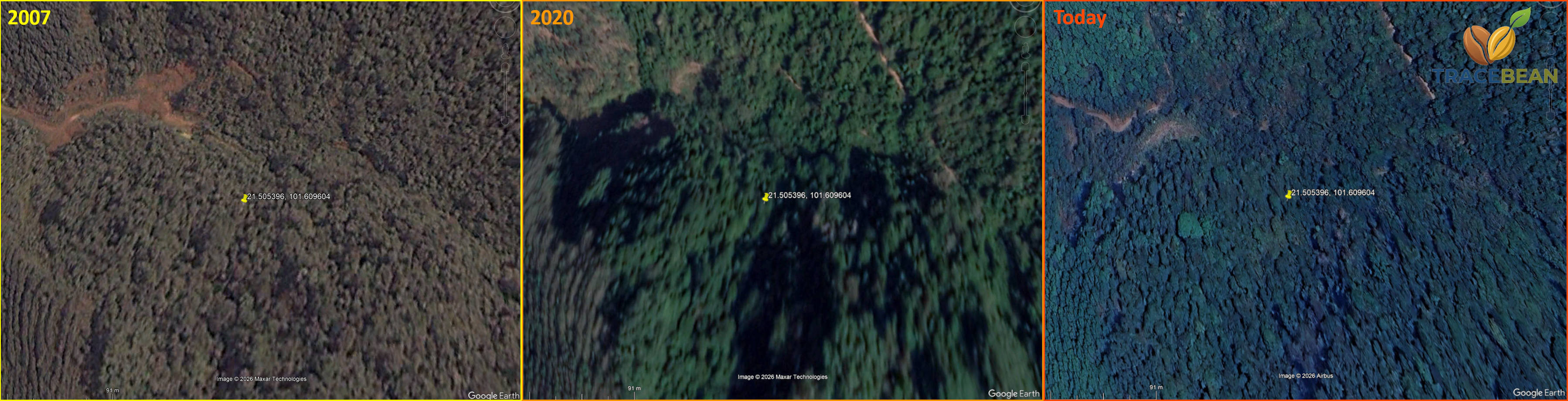 Side-by-side satellite imagery from 2007, 2020 and today showing the same dense, irregular forest canopy at the study location, unchanged across all three dates