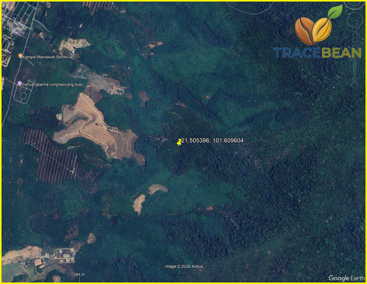 Satellite view of a forested hillside in Xishuangbanna, Yunnan, China, with plantation rows visible to the west and a pin marking the location of a two-pixel classification error inside continuous forest