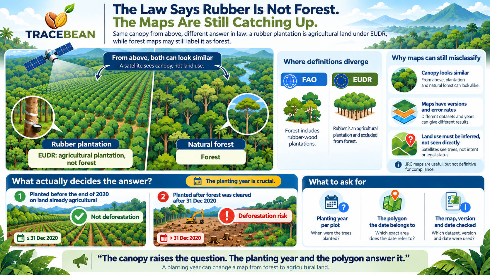 Diagram of a rubber plantation and a natural forest that look alike from above: EUDR treats the plantation as agricultural land, while a forest map may label both as forest
