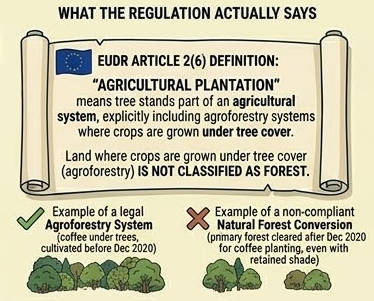 EUDR Article 2(6) — Agricultural plantation definition and agroforestry